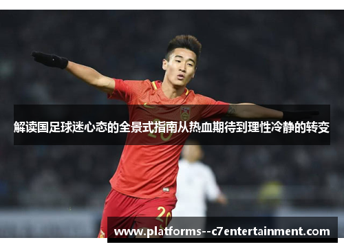 解读国足球迷心态的全景式指南从热血期待到理性冷静的转变