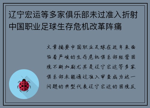 辽宁宏运等多家俱乐部未过准入折射中国职业足球生存危机改革阵痛
